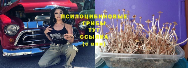 круглые Сясьстрой